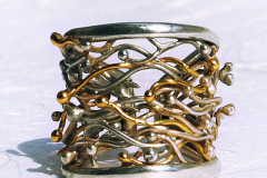 anillo_camino