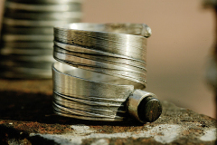 Anillo de plata con Gorgonia